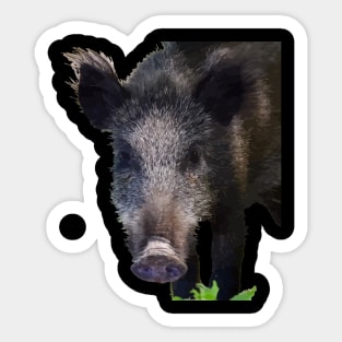 Boar Making Eye Contact Vector Art Sticker